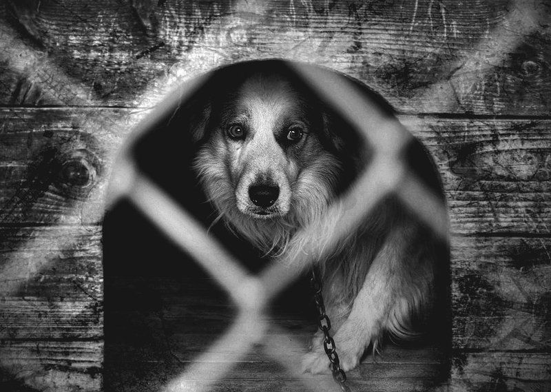 Каждому свой адphoto preview