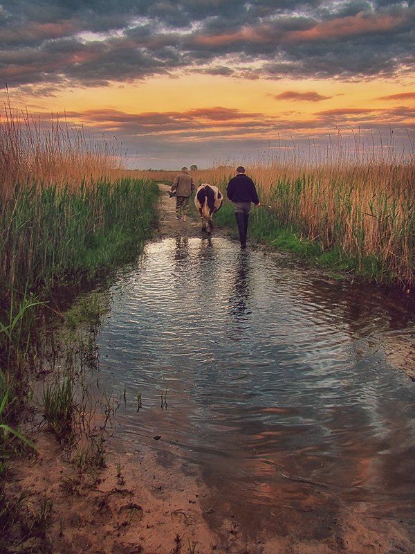 Cowboysphoto preview