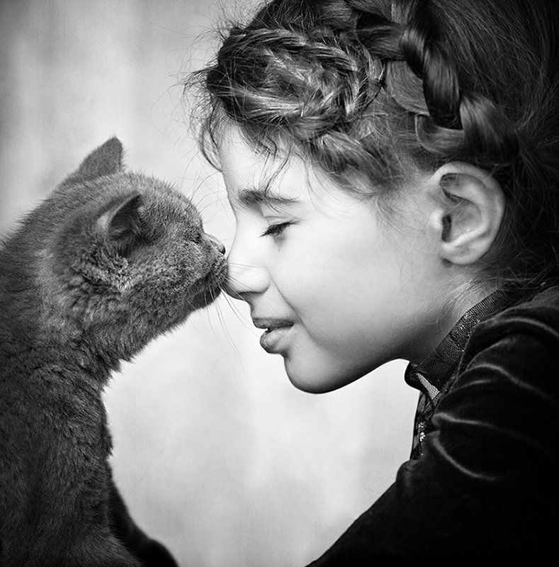 Sealed with a Kissphoto preview