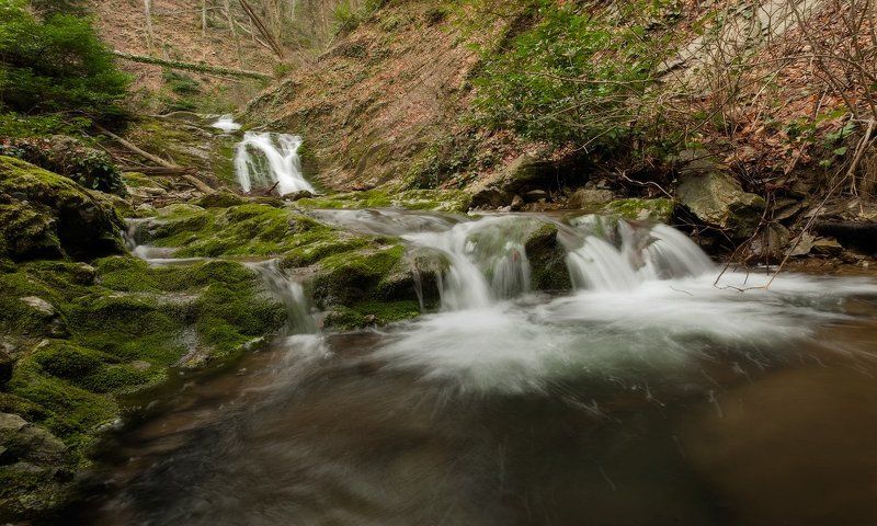В ДЕБРЯХ РУЧЬЯ БЕШЕНОГО-2 фото превью