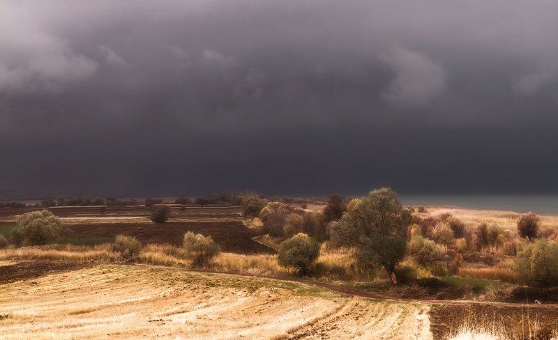Перед грозой.photo preview