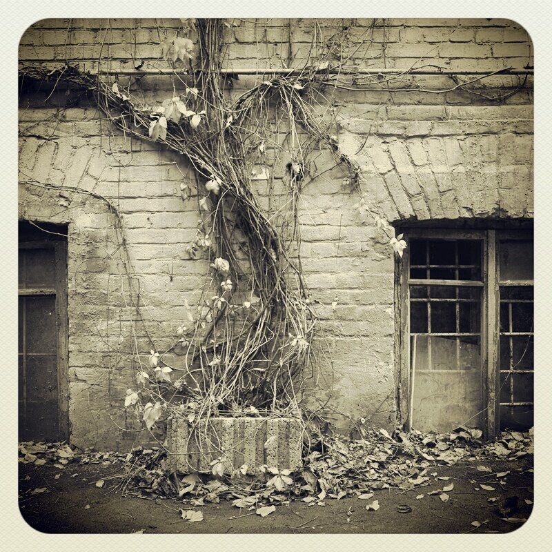 -Instagram-photo preview