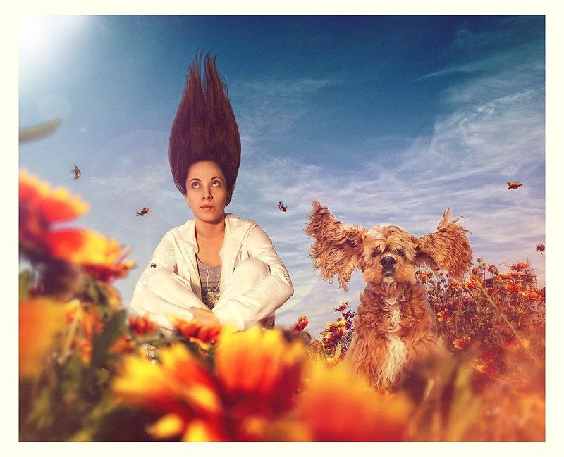 gravitationphoto preview