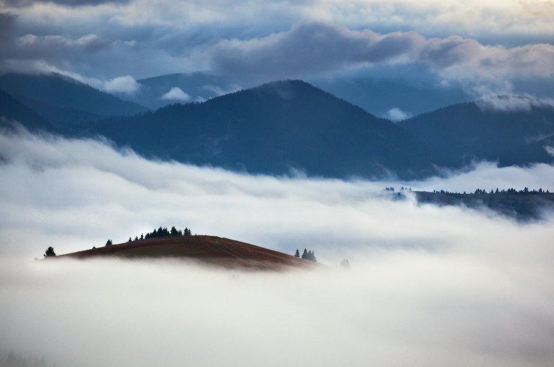 карпаты, утро, туман ...Island... фото превью