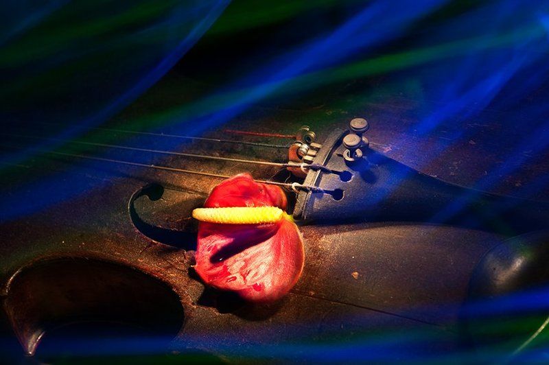 Плачет скрипка с ветром в ладphoto preview