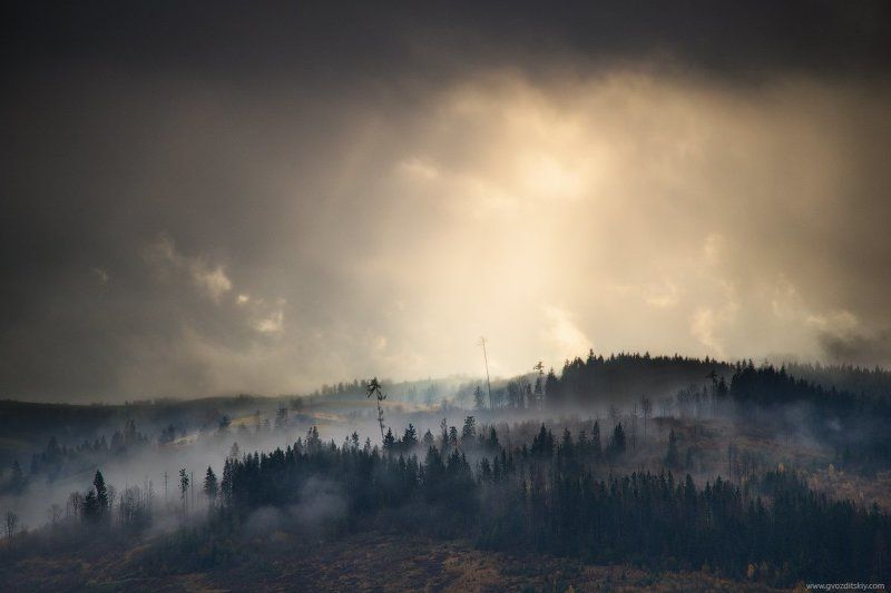 карпаты, осень, небо, лес, лучи, туман ***photo preview