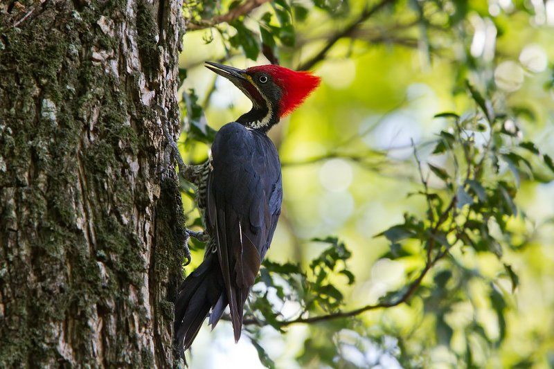 Модная причесочкаphoto preview