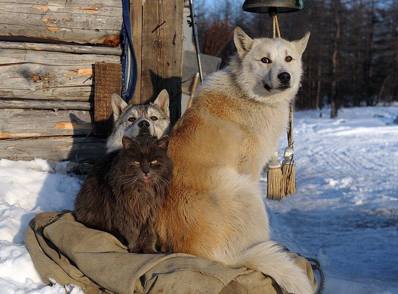 Ломая стереотипы...photo preview