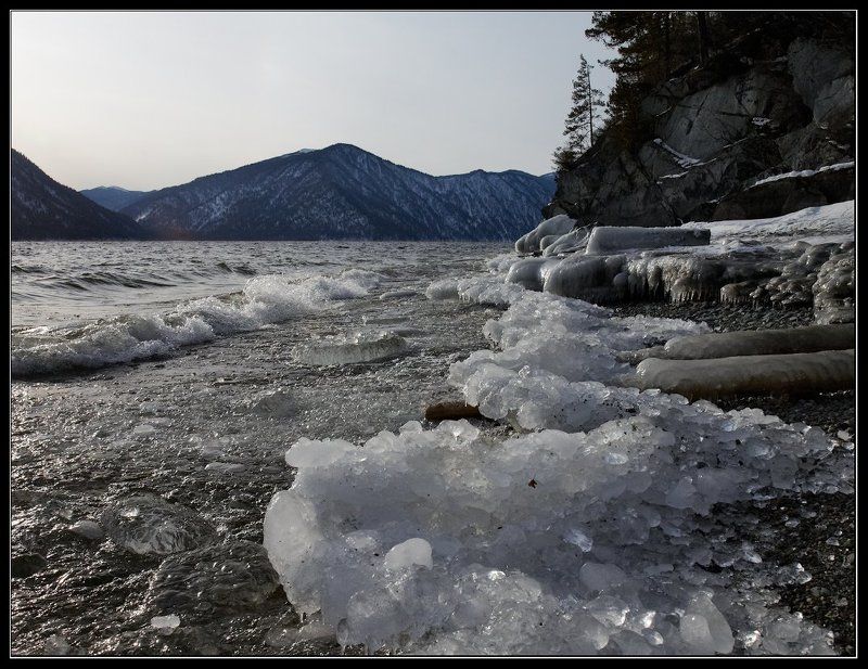 Телецкое озеро.photo preview