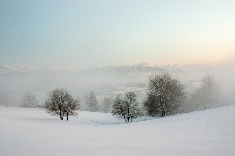 Sweet paradisephoto preview