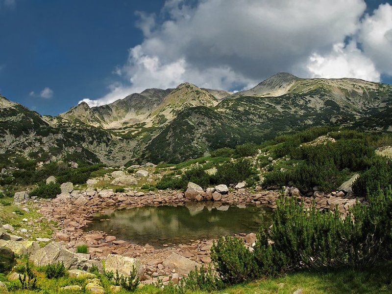 Пиринское летоphoto preview