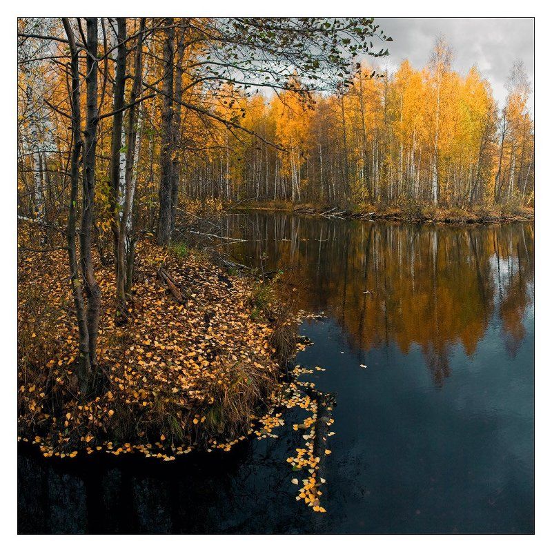 шатура, осень ВСПОМИНАЯ ОСЕНЬ.photo preview