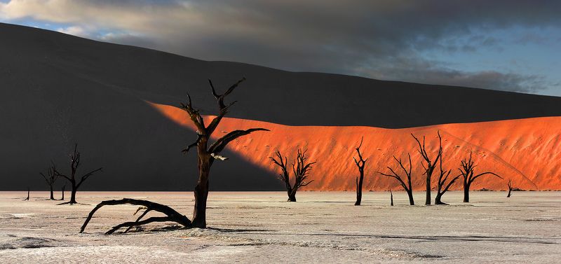 Better Red Than Deadphoto preview