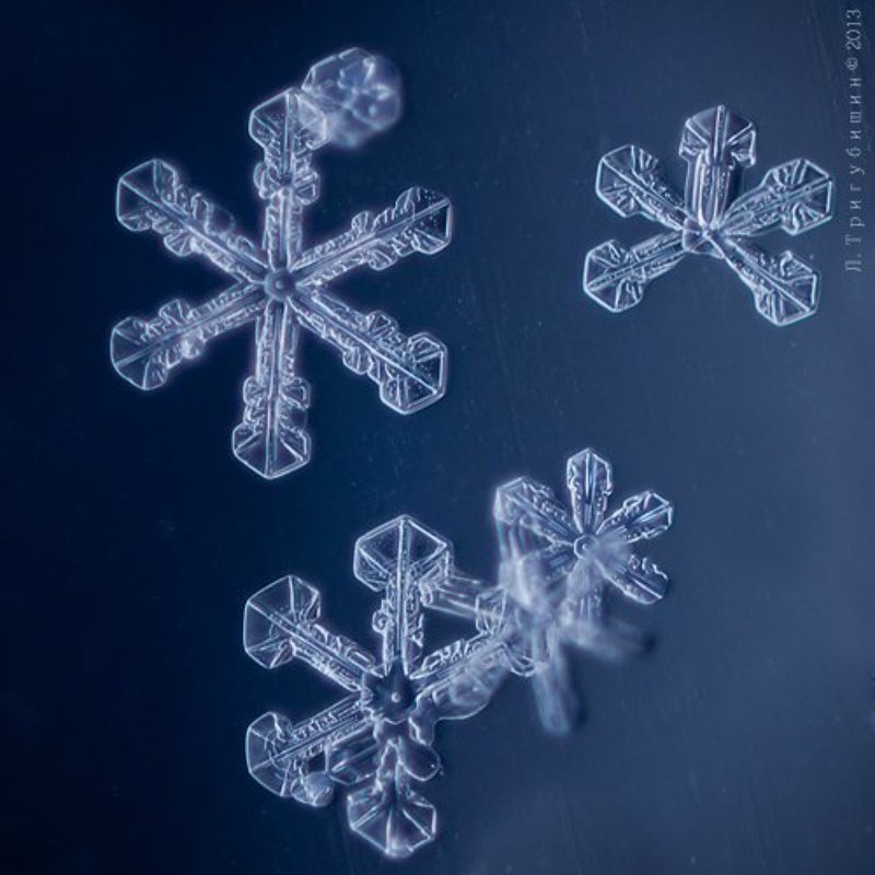 Танец снежинокphoto preview