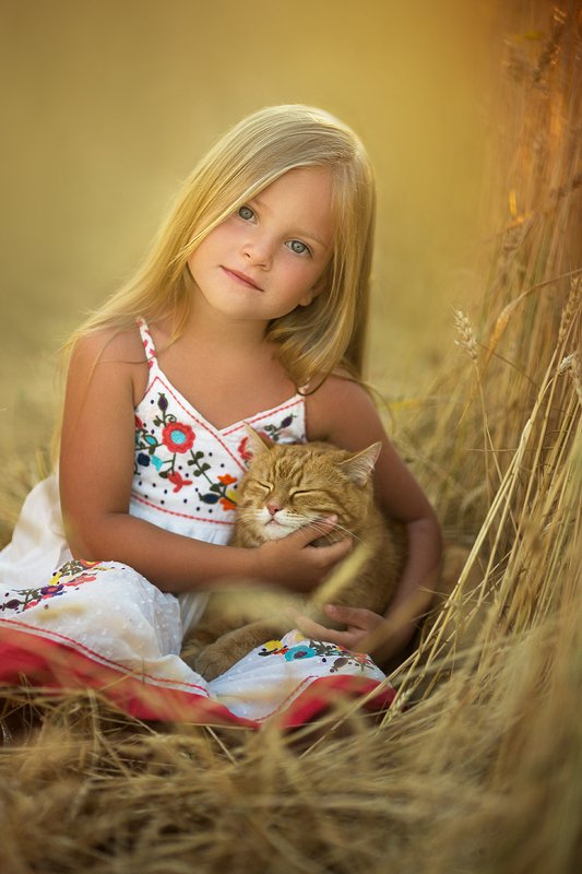 дети, девочка, детский портрет, детский фотограф, детская фотография, топ фотограф, семейный фотограф, пшеница, лето, кот В пшеницеphoto preview