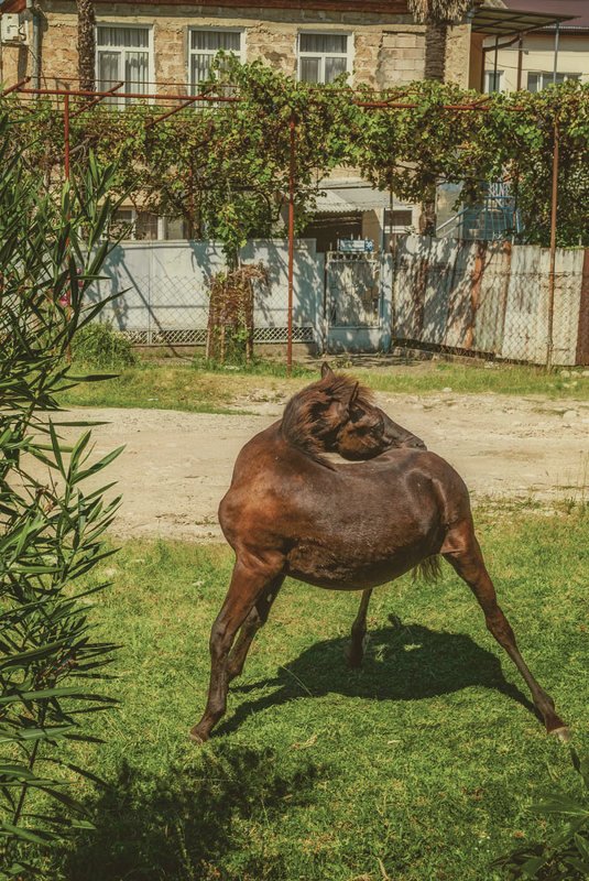 гимнастика для всехphoto preview