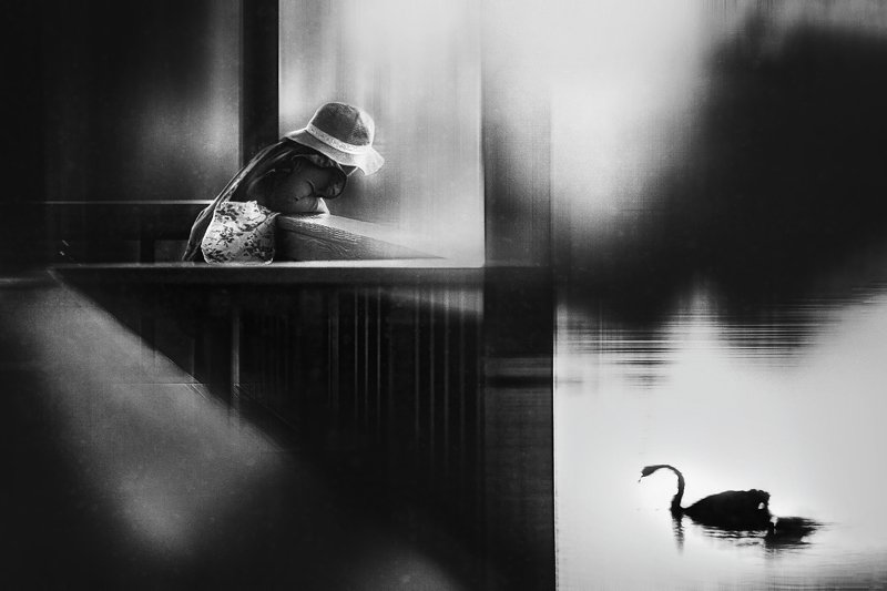 The Conversationphoto preview