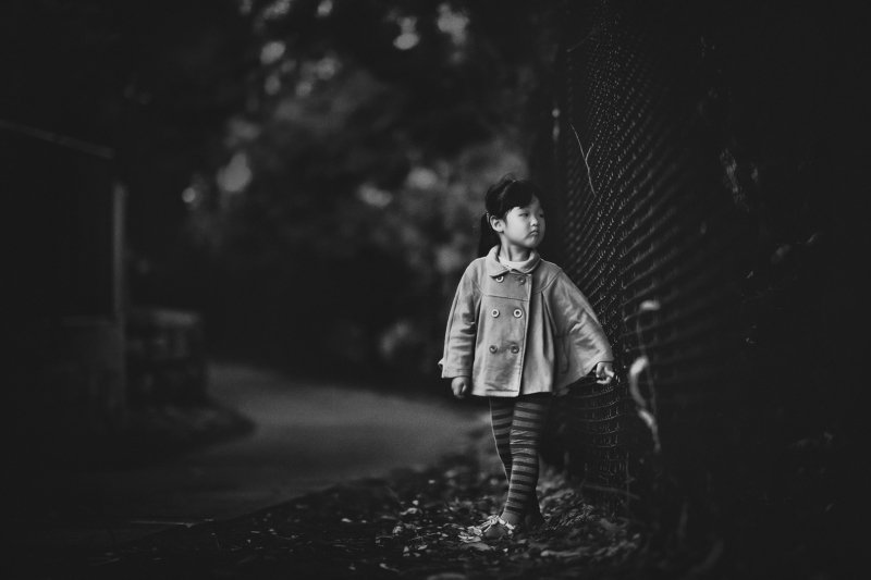 Delphiephoto preview