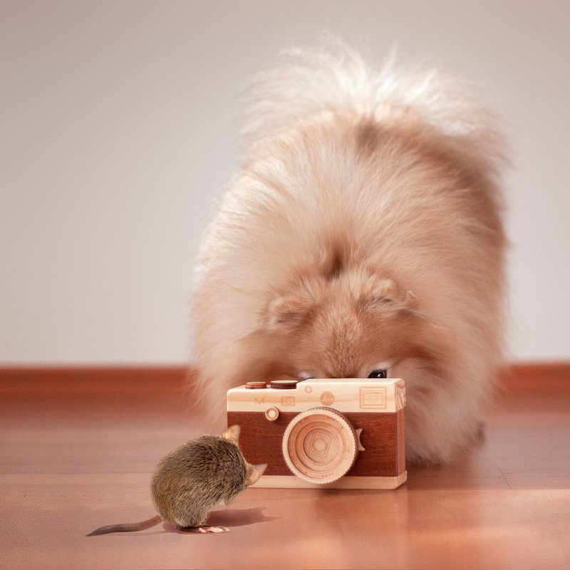 фотограф, foto, photography \