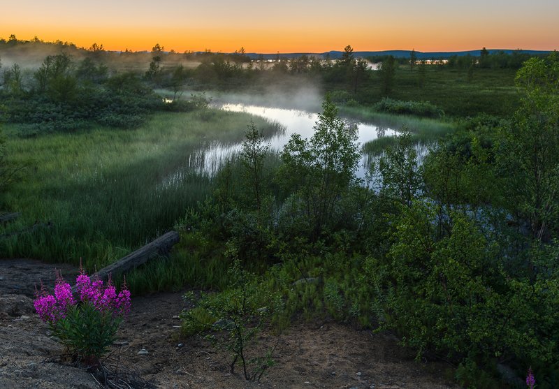 ...еще белые ночиphoto preview