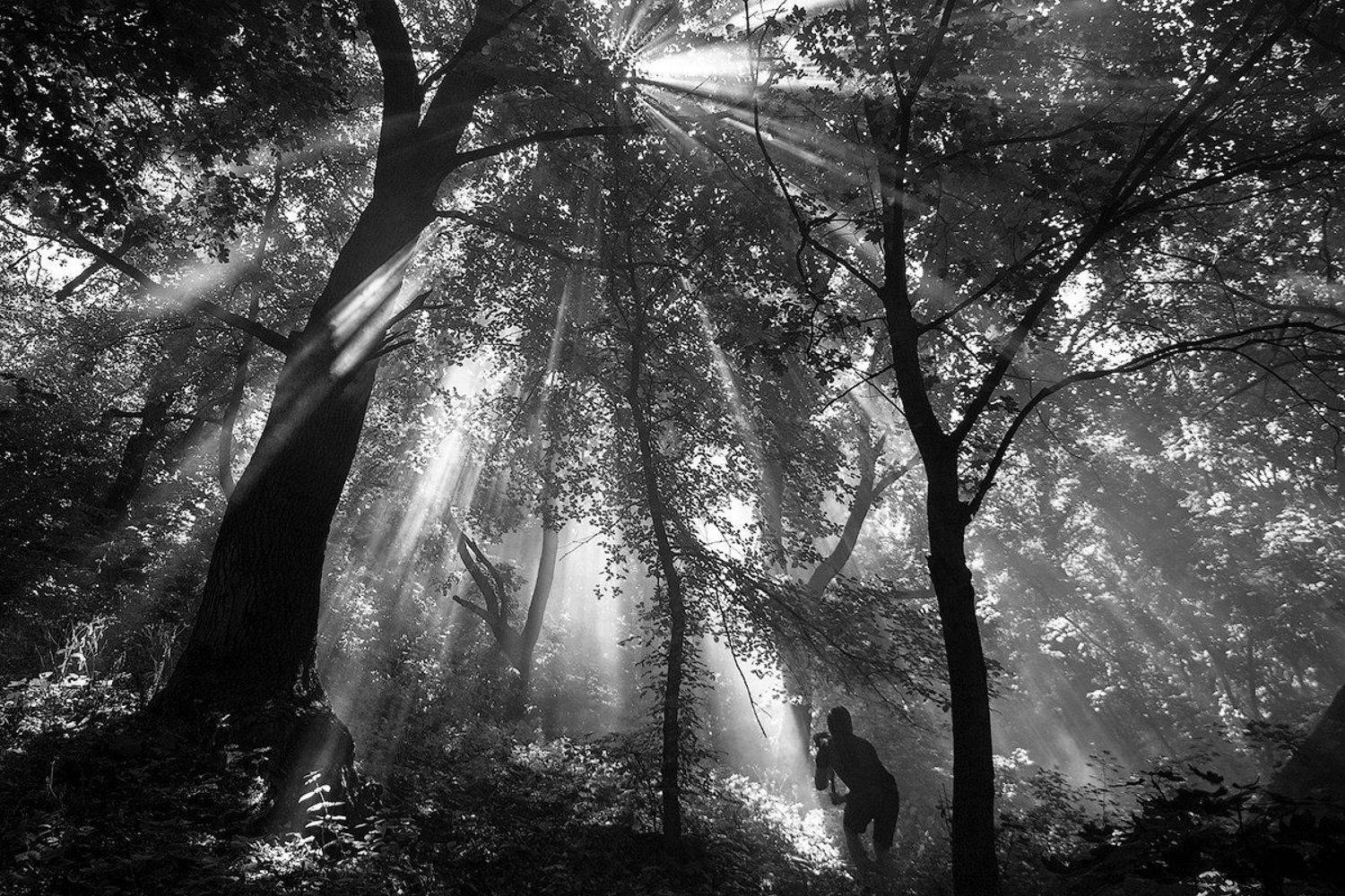 , Дитковский Евгений