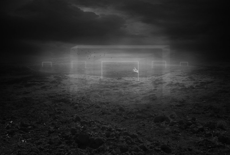 fineart Gatesphoto preview