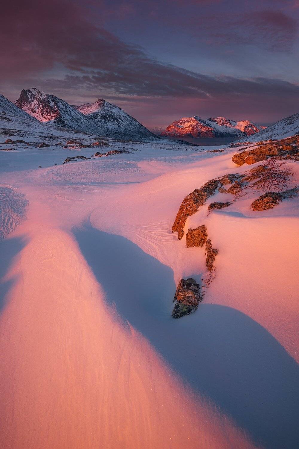 Light tide. Автор: Szabo Zsolt Andras , Szabo Zsolt Andras