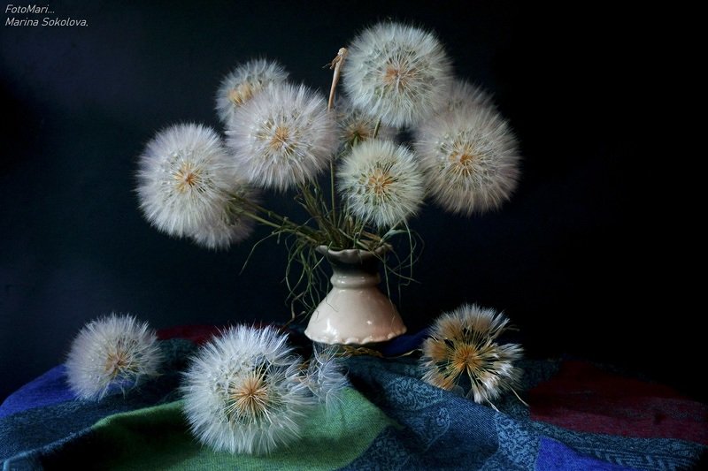 Одуванчиковое...photo preview