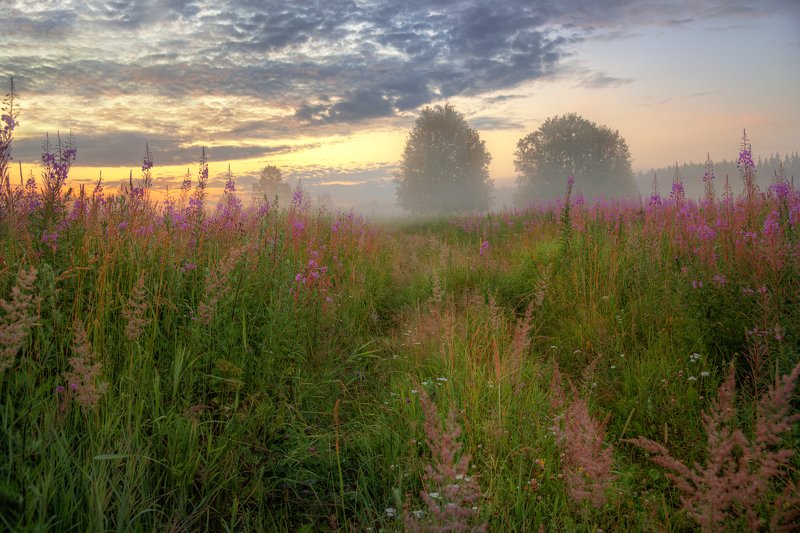 Лето - это маленькая жизньphoto preview