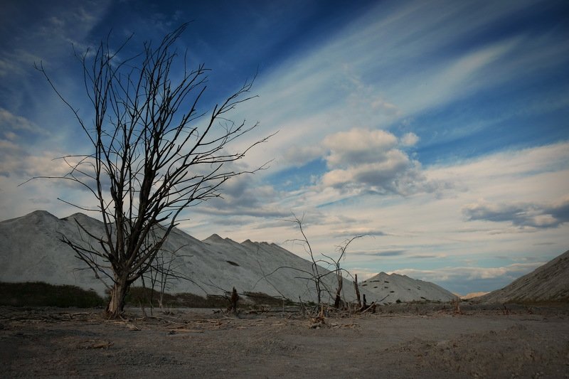 беларусь, гомель, горы, экология Dead nature(II)photo preview