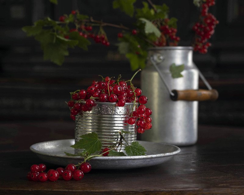 смородина, красный ***photo preview