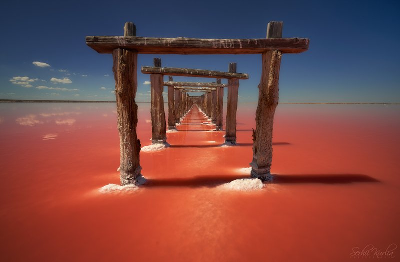 солёное озеро, розовое озеро Through the gates⁣photo preview