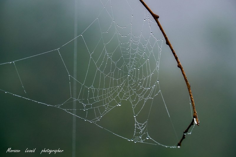 #nature, #туман, #лес, #oсень, #украина, #карпаты, #пейзаж, #закат, #туман, #солнце, #свет, #mountain range, #mountains, #туризм, #лес, #nature, #природа, ***photo preview