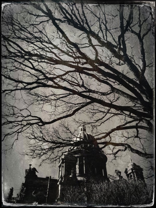 Saint-Petersburgphoto preview