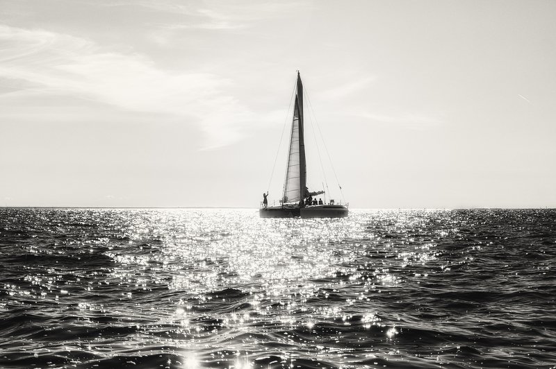 вода, катамаран, лето, чернобелое, девушка, прогулки, залив К горизонту...photo preview