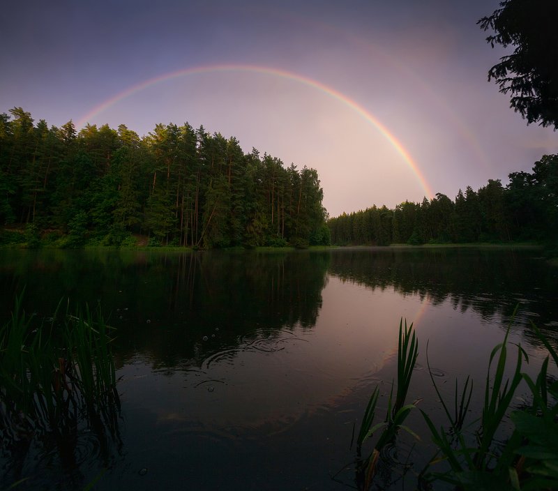 Сказка photo preview