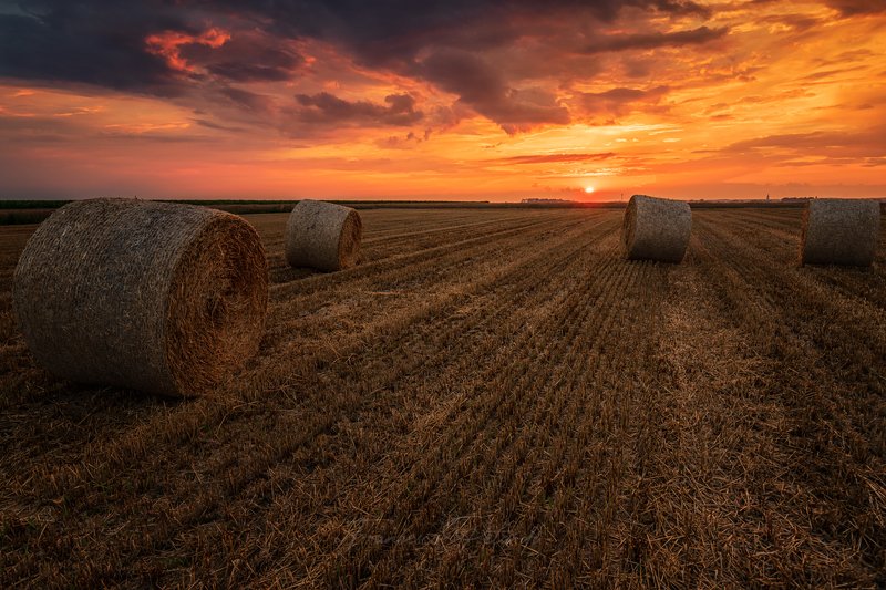 #sunset Sunset in the countrysidephoto preview