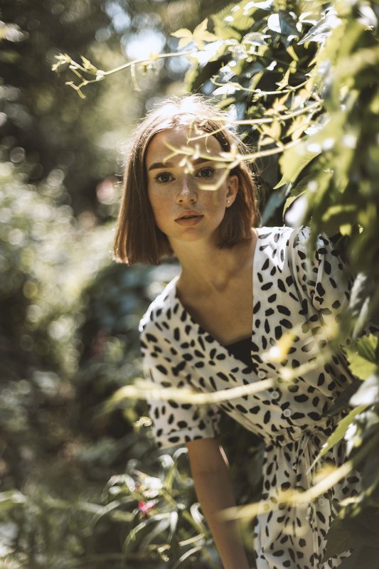 Мир Милыphoto preview