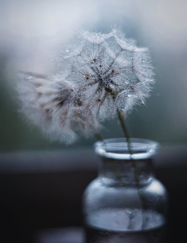 Капелькиphoto preview