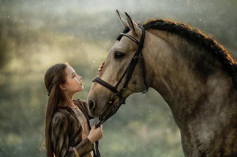 портрет, девушка, женский, портрет, конь, андалуз Валерия и Асендадоphoto preview