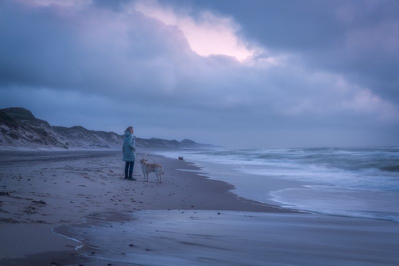 Beach, Blue, Blue Hour, Clouds, Denmark Sea, Dog, Dune, endless, Evening, Evening Mood, Horizon, Labrador, mist, Moody, NordJylland, North Sea, Ocean, outdoors, Sand, Sand dunes, Sea, seafront, Seashore, Shore, Skagen, Tidal waves, Tide, Walk, Walking, Wa Skagen Lightphoto preview