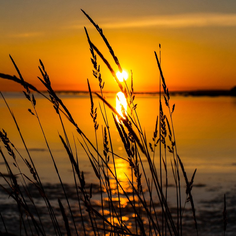 Пожарphoto preview