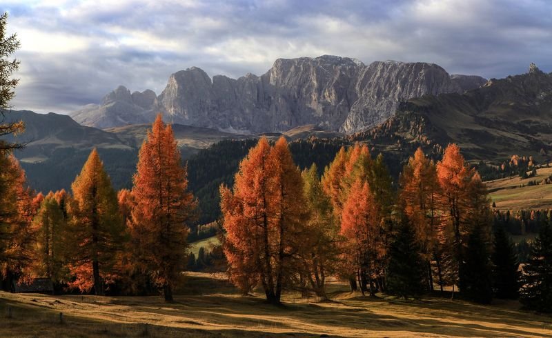 Золото Доломитphoto preview