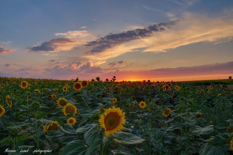#nature, #туман, #лес, #oсень, #украина, #карпаты, #пейзаж, #закат, #туман, #солнце, #свет, #mountain range, #mountains, #туризм, #лес, #nature, #природа, ***photo preview