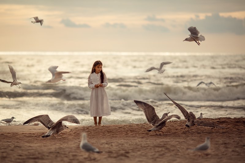море, девочка, Паланга, чайки, волны, пляж, песок, вечер, закат У моряphoto preview