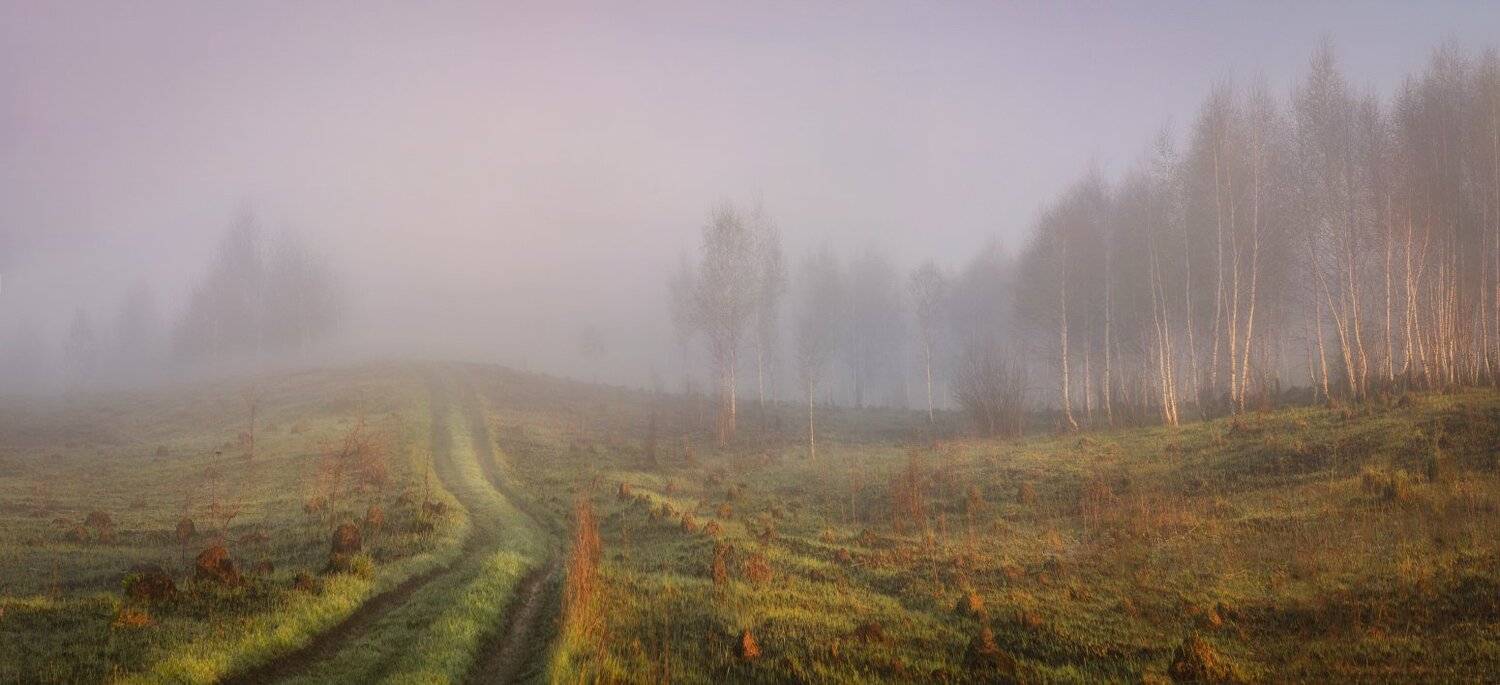 Туманным утром. Автор: Сергей Кочергин тула, майский пейзаж, Сергей Кочергин