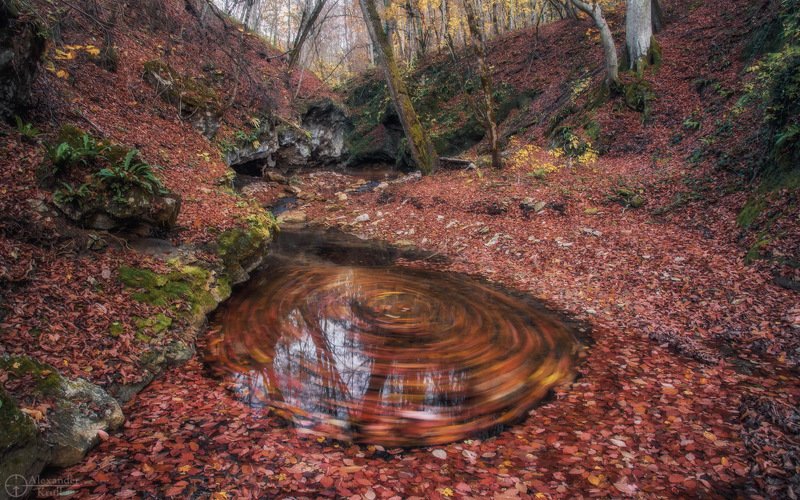 Рыжая круговерть...photo preview