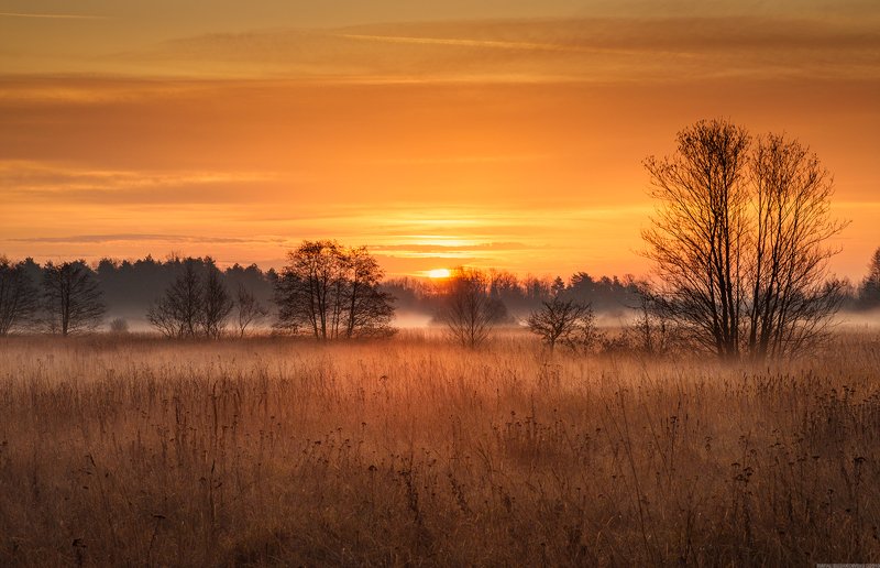 #landscape #panoramic #photo #nikon #poland #adventure #sunrise  #mountains #nature #tree #grass November Sunrisephoto preview