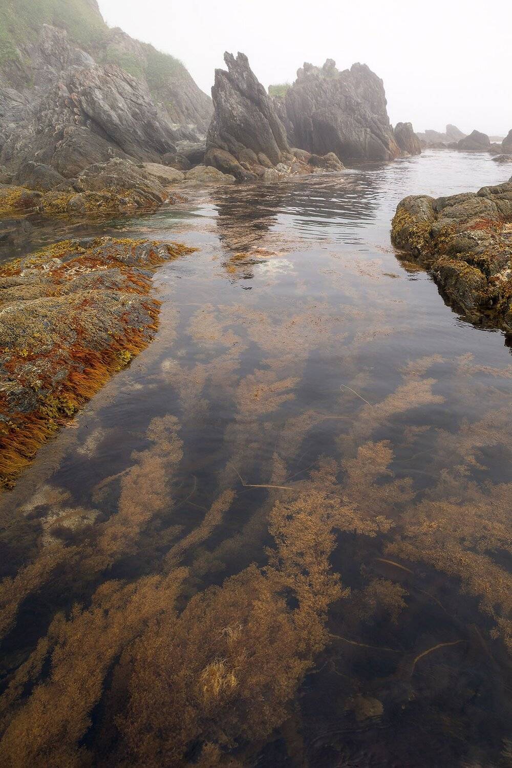 , Артем Удодов