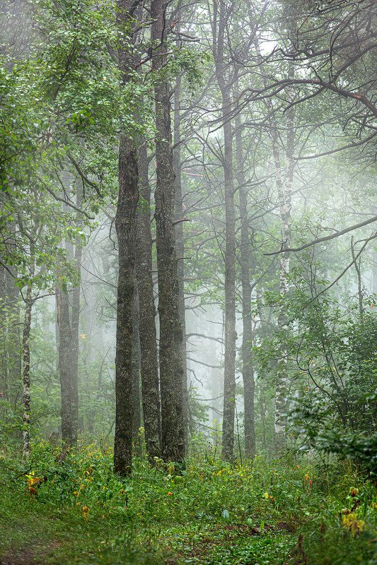 южный урал,оренбургская область, орск, новотроицк,башкирия, башкиртостан Лесная!photo preview